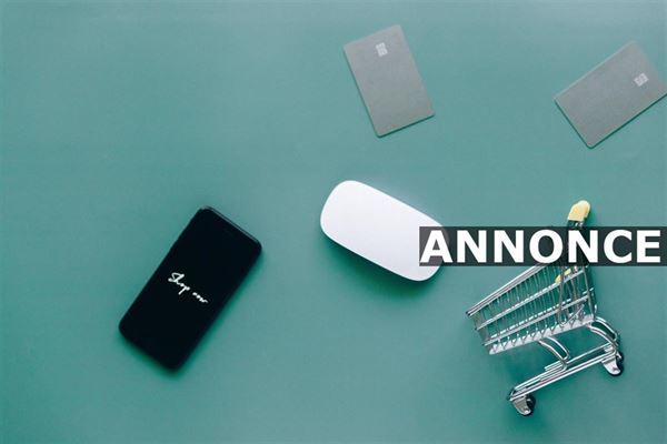 Drømmer du om at starte en webshop?