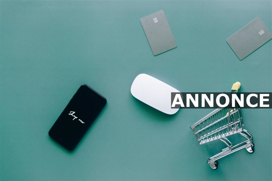 Drømmer du om at starte en webshop?